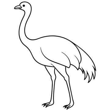 recommend clip art: Graceful Emu Tall and Sleek Vector Design