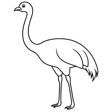 recommend clip art: Graceful Emu Tall and Sleek Vector Design
