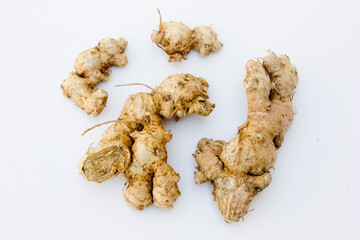 Ginger (Zingiber officinale) aids in digestion, helps relieve nausea (including morning sickness and nausea from chemotherapy), and may reduce bloating and gas