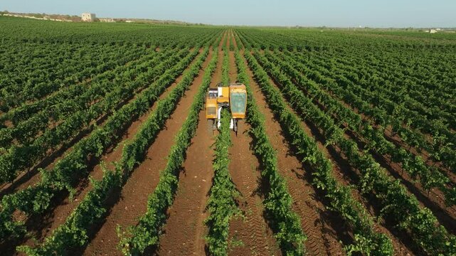 GRAPE HARVESTER, FRONT VIEW GETTING UP WHILE HARVESTING WITH THE FARM IN THE BACKGROUND