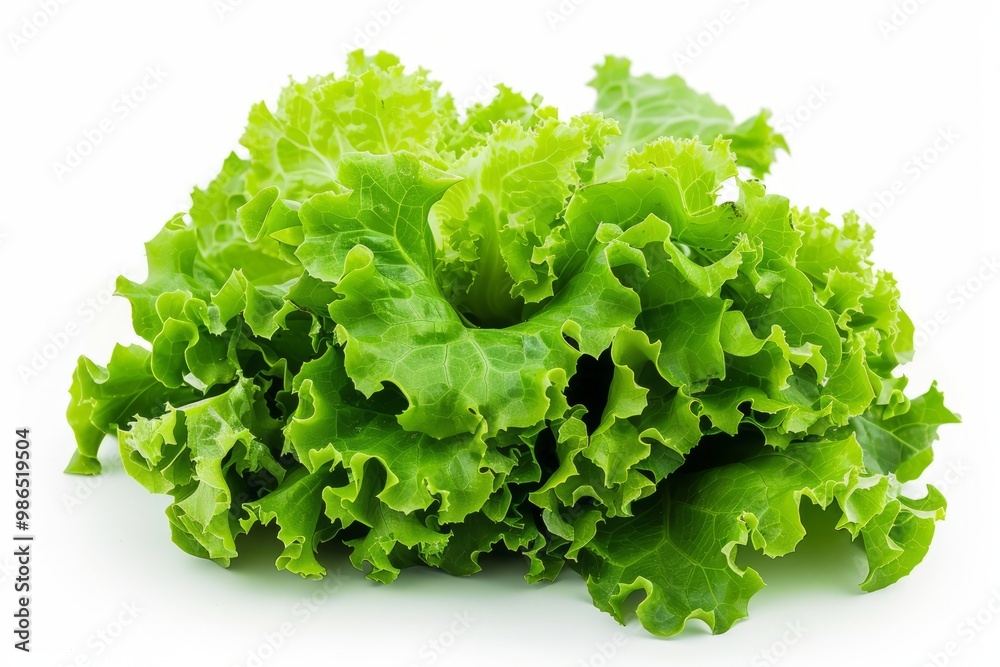 Wall mural a fresh lettuce isolated on white