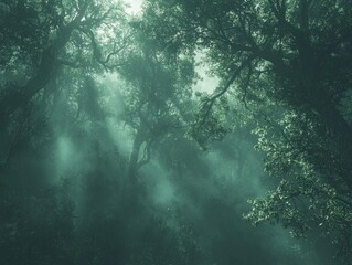 Obraz premium Enchanted Ancient Forest: Mystical Mist and Towering Trees in 8K Resolution