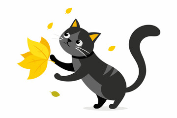 black and white cat
