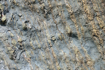 Grünstein - Prasinit - greenstone -prasinite