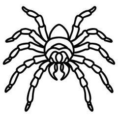 Intricate Line Art of a Crawling Tarantula