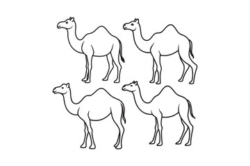 Camel silhouette vector illustration, Camel silhouette vector