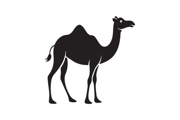 Camel silhouette vector illustration, Camel silhouette vector