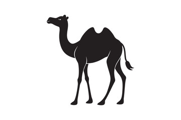 Camel silhouette vector illustration, Camel silhouette vector
