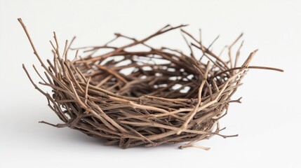 A detailed close-up of an empty bird's nest crafted from intertwined twigs.