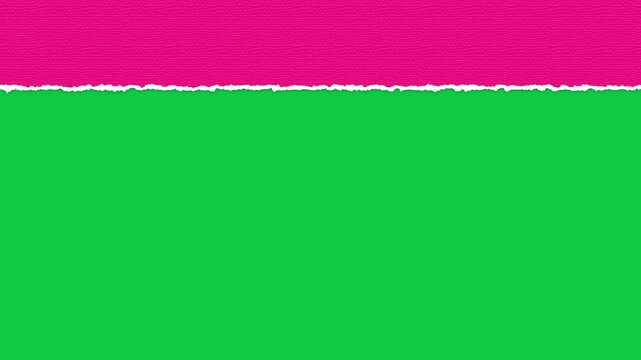 pink paper sheet tearing and rolling effect on green background, transition for presentations, social media, and marketing isolated design element