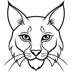 Lynx Eyes Focused with Minimal Fur Line Art Vector