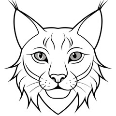Lynx Eyes Focused with Minimal Fur Line Art Vector