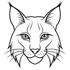 Lynx Eyes Focused with Minimal Fur Line Art Vector