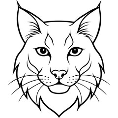 Lynx Eyes Focused with Minimal Fur Line Art Vector