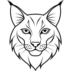 Lynx Eyes Focused with Minimal Fur Line Art Vector