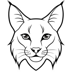 Lynx Eyes Focused with Minimal Fur Line Art Vector