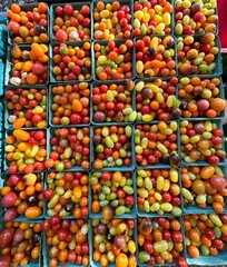Baskets of grape and cherry tomatoes on sale at a Farmer's Market