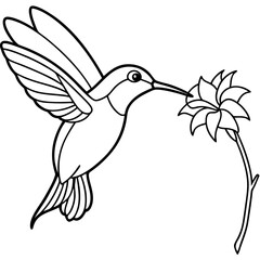 Graceful Hummingbird Sipping Nectar – Flowing Line Art Vector