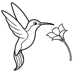 Graceful Hummingbird Sipping Nectar – Flowing Line Art Vector
