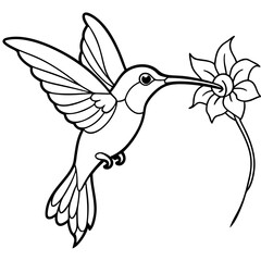 Graceful Hummingbird Sipping Nectar – Flowing Line Art Vector