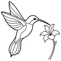 Graceful Hummingbird Sipping Nectar – Flowing Line Art Vector