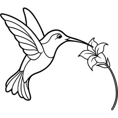 Graceful Hummingbird Sipping Nectar – Flowing Line Art Vector