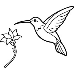 Graceful Hummingbird Sipping Nectar – Flowing Line Art Vector