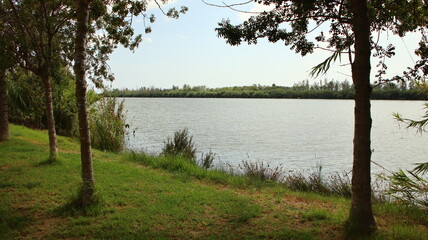 paseando junto al Ebro, caminata junto al río Ebro, fondo de pantalla, fondo de escritorio, entorno de las Batallas del Ebro