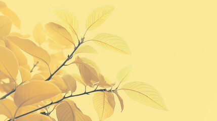 Fototapeta premium yellow autumn leaves background space for text backdrop wallpaper