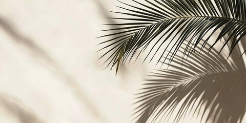Obraz premium Shadow of palm leaves on white concrete light beige wall. Generative AI technology