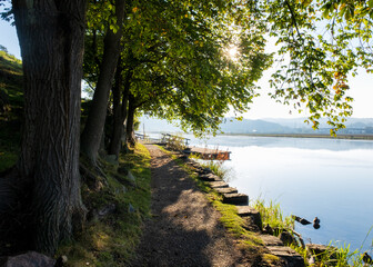 View from a hill thourgh a hiking trail over looking calm river with glowing trees during early autumn morning, Gothenburg Sweden