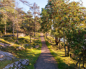 View from a hill thourgh a hiking trail over looking calm river with glowing trees during early autumn morning, Gothenburg Sweden