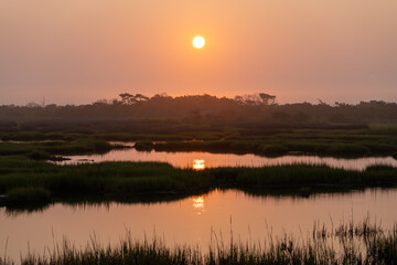 Fototapeta premium Sunrise over the wetlands of Assateague island. The sun's reflection in the water is broken up by a strip of grasses.