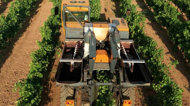 GRAPE HARVESTER, REAR IN SLOW MOTION