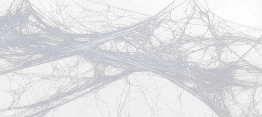 Spider web. Cobweb scary frames. Realistic arachnid net borders. Spooky Halloween background....