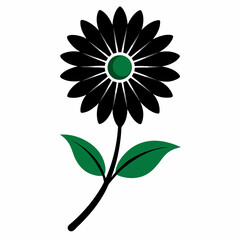 African Daisy Soprano flower vector artwork