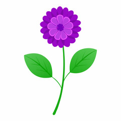 Ageratum violet flower  vector art illustration