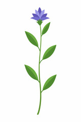Beautiful Amsonia flower vector artwork