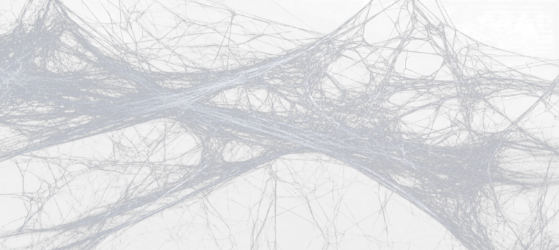 Spider web. Cobweb scary frames. Realistic arachnid net borders. Spooky Halloween background. Isolated gothic decorative elements 