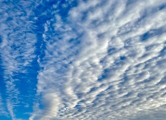Fototapeta premium blue sky with clouds