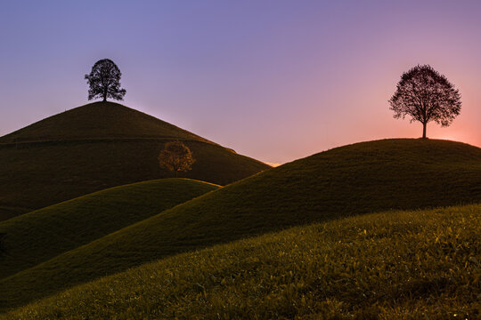 Drumlin hills with a single tree on top at the colorful sunset time