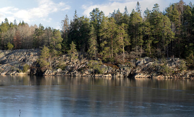 Fototapeta premium Overgrown rocky shore of a frozen lake on a winter morning