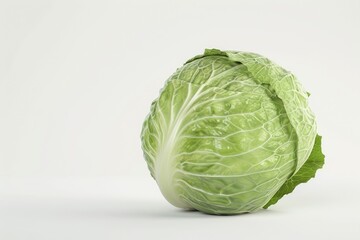 A fresh head of cabbage placed on a clean white background