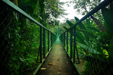 Obraz premium Swinging Bridge