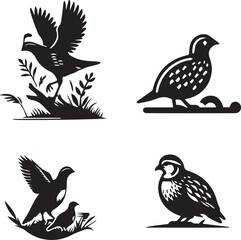 Obraz premium quail silhouette