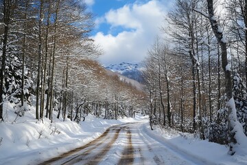 Snowy road through winter forest with mountain in the background