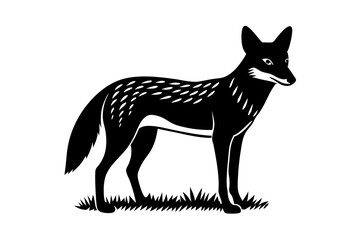 A detailed vector illustration of a Black-backed Jackal standing in the grassland of the African Savanna, capturing its wild and agile nature in a natural habitat setting.