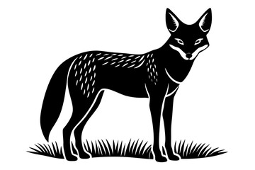 A detailed vector illustration of a Black-backed Jackal standing in the grassland of the African Savanna, capturing its wild and agile nature in a natural habitat setting.