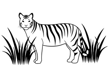 A captivating vector illustration of a tiger hiding in long grasses, intently watching for its prey. Perfect for wildlife art, nature themes, and animal-related designs.