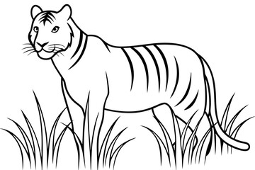 A captivating vector illustration of a tiger hiding in long grasses, intently watching for its prey. Perfect for wildlife art, nature themes, and animal-related designs.